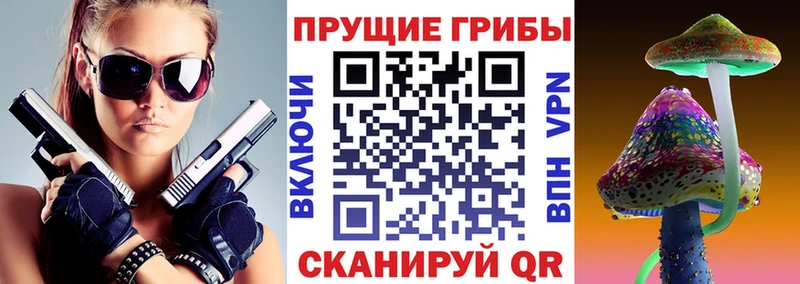 Купить где  Аксай  Галлюциногенные грибы Magic Shrooms 